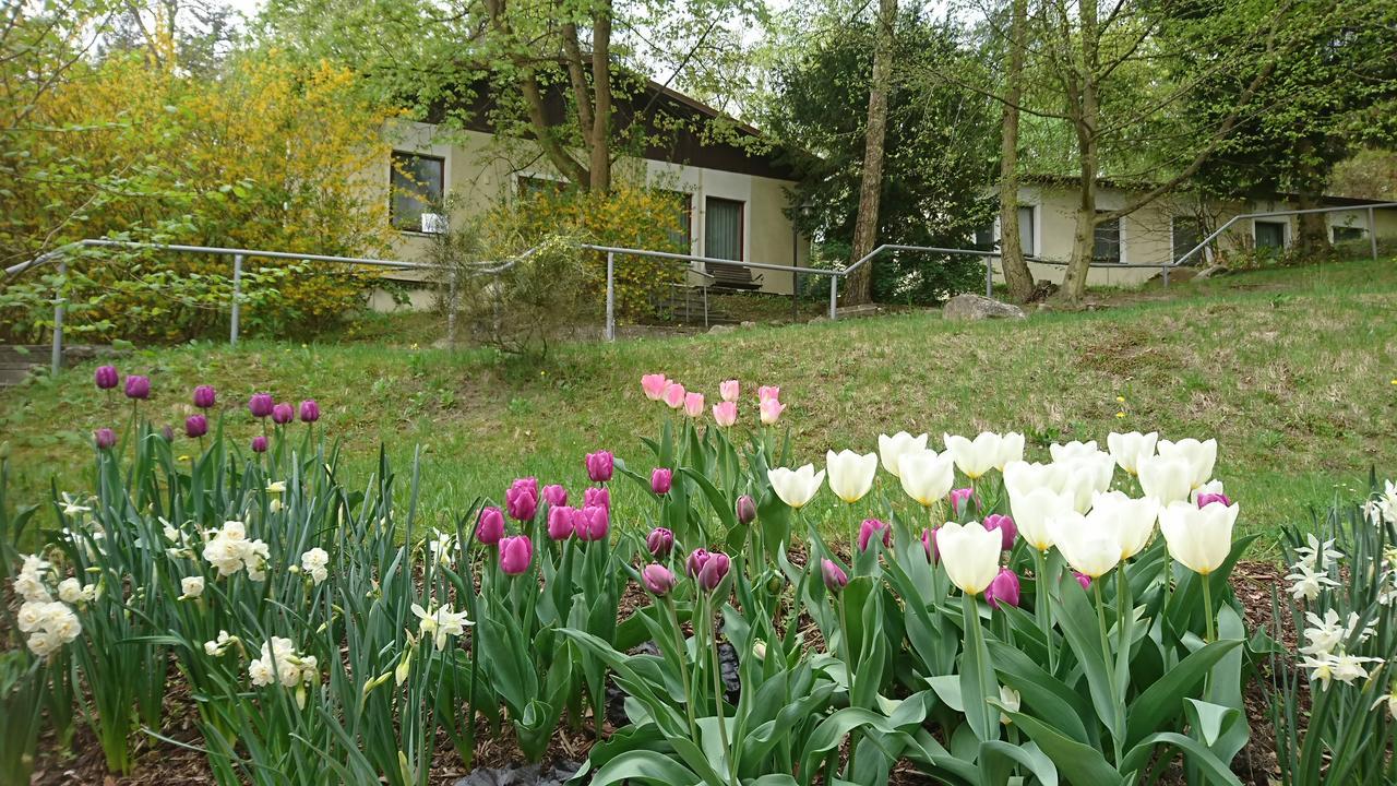Gaestehaus Chorin Eksteriør billede